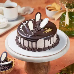 choco butterfly cake